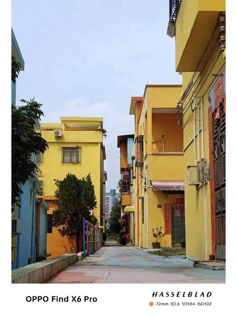 ccd的市场,ccd有多暴利