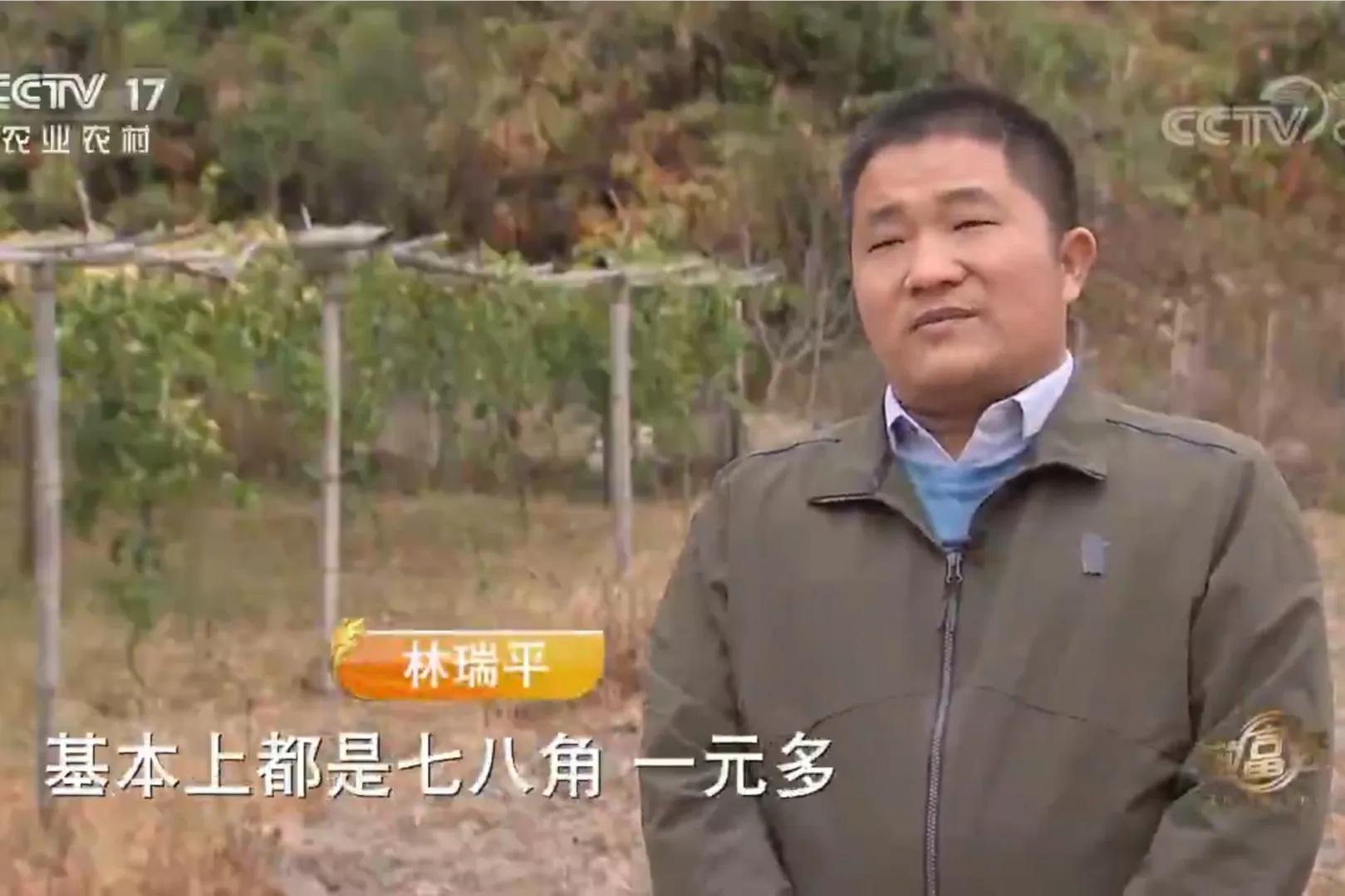 愚公移苍山荒山化作聚宝盆,200亩荒山变成聚宝盆