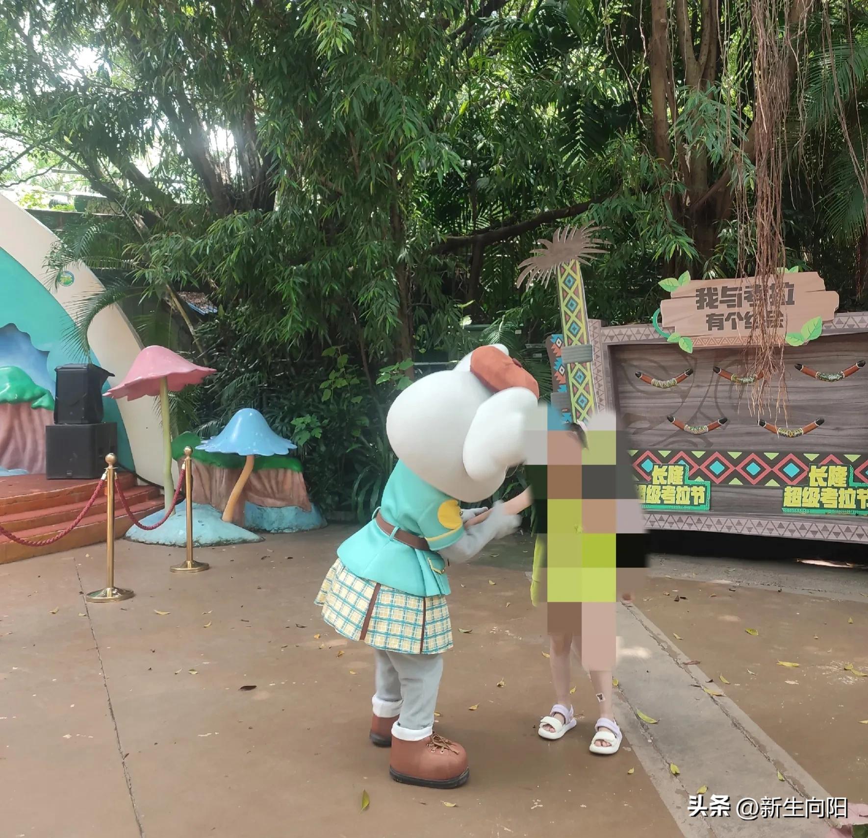 长隆野生动物园两大一小,长隆野生动物园一家三口