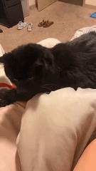 想问这姑娘衣服在哪买的,会不会挨揍?亮点