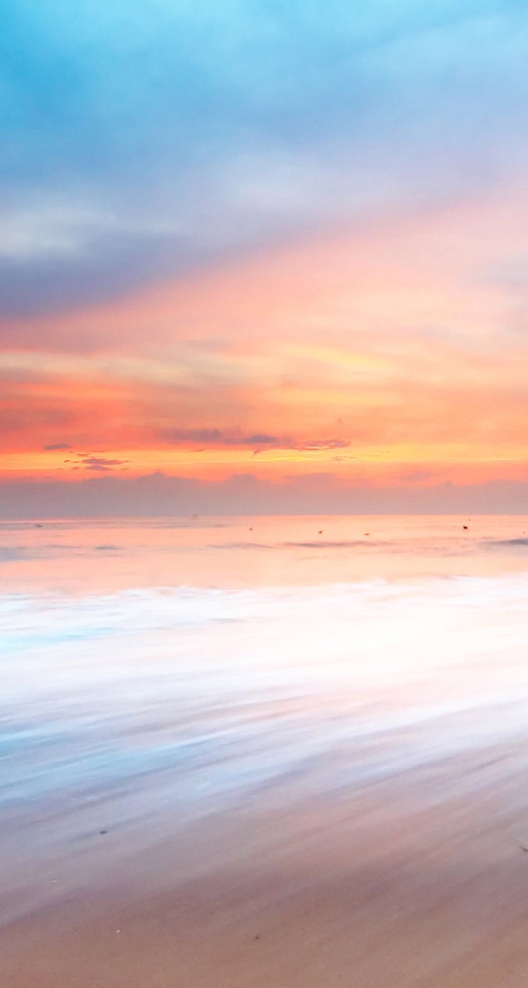 浅色壁纸高清图片花,超仙闺蜜壁纸动漫紫色和粉色