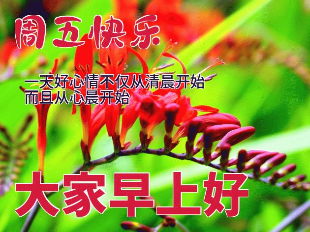 早上好简单好看的早安祝福语,早上好的问候美句励志的早安语