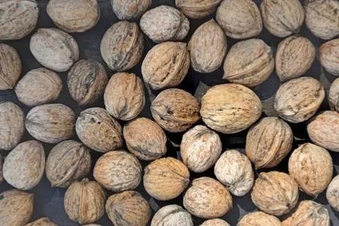 那天下午六点钟，中专时的同学发微信让我安排住宿，我选择了拉黑