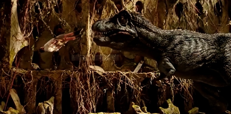 失落的大陆电影讲的是什么,电影失落的大陆