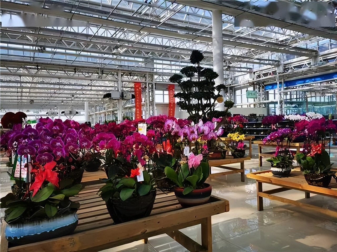 去兰州新区玩,去冰雪大世界还是冰雪新天地