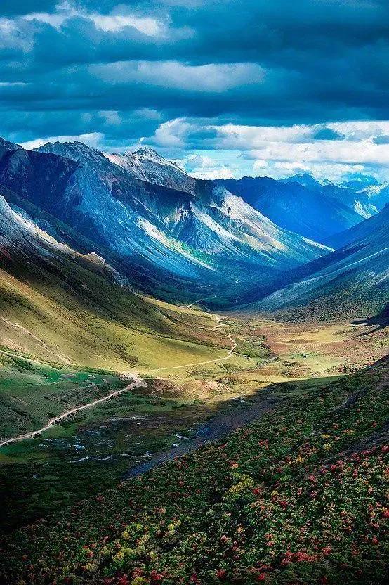 名词性从句宾语从句句子成分划分,名词宾语从句讲解