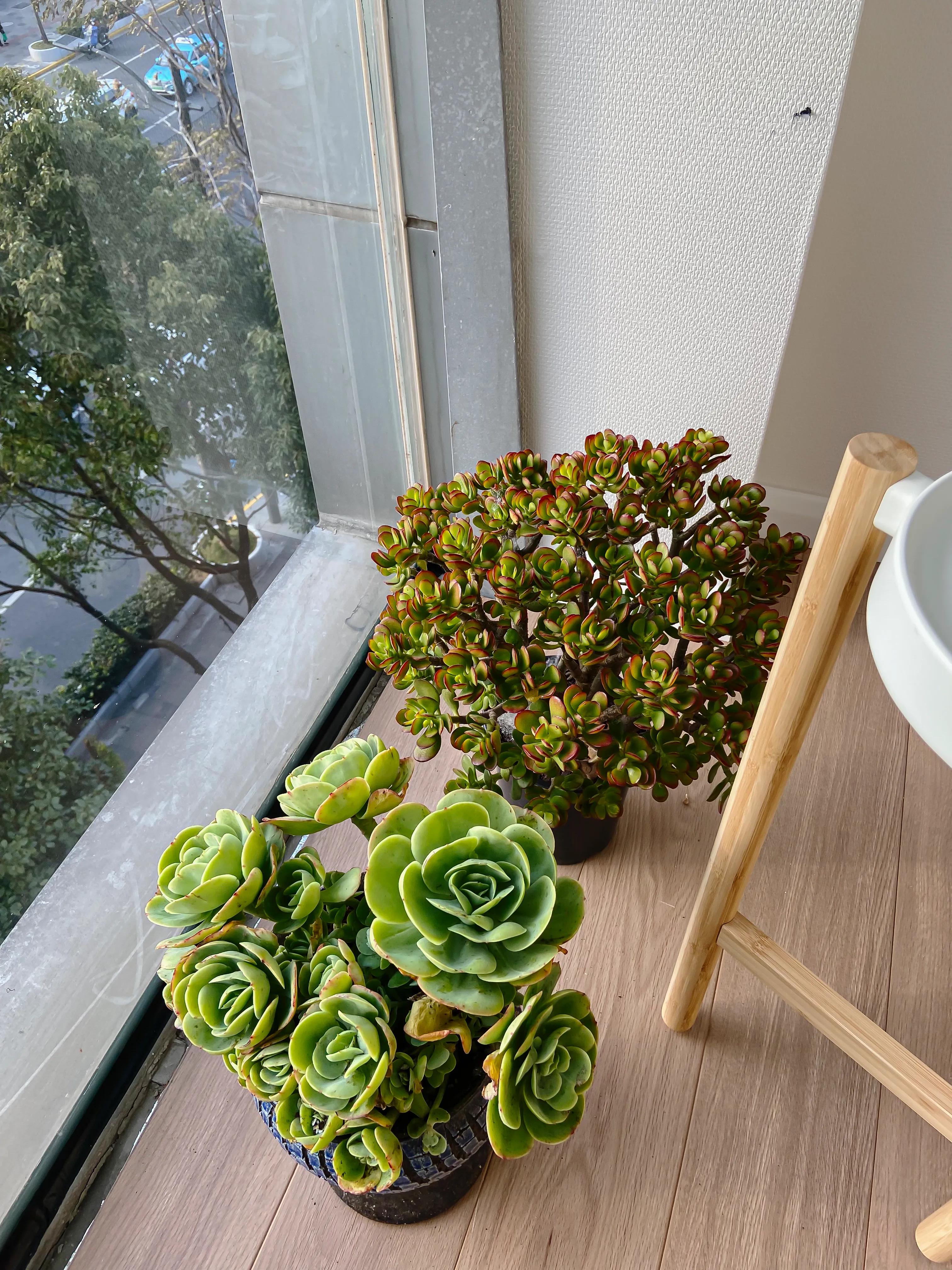 130平米旧房改造效果图,小户型旧房改造收纳效果图