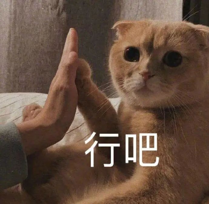 一不小心成变态！“Ilovecat”不是“我喜欢猫”