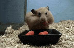 虽然我不会去纹身，但这些纹身确实有点意思：把肢体变成尺子