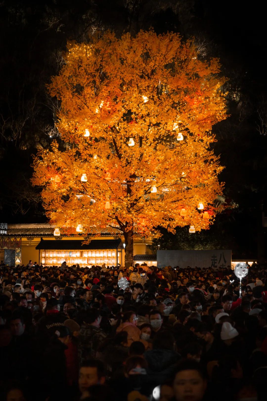 糯叽叽的美食天堂,糯叽叽美食好吃到停不下来