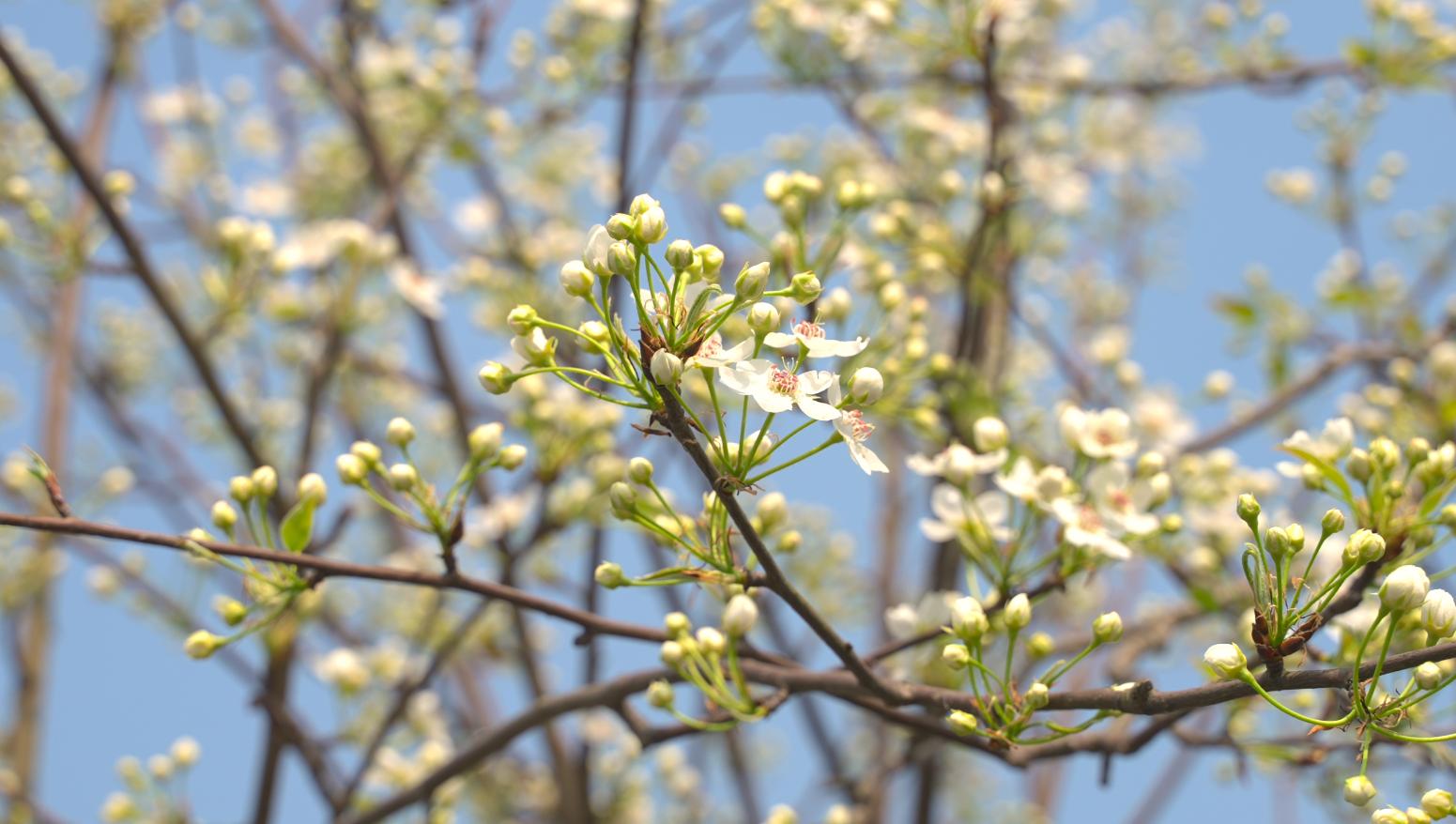 春季过敏是身体哪里的毛病,春季过敏是鼻炎还是花粉症