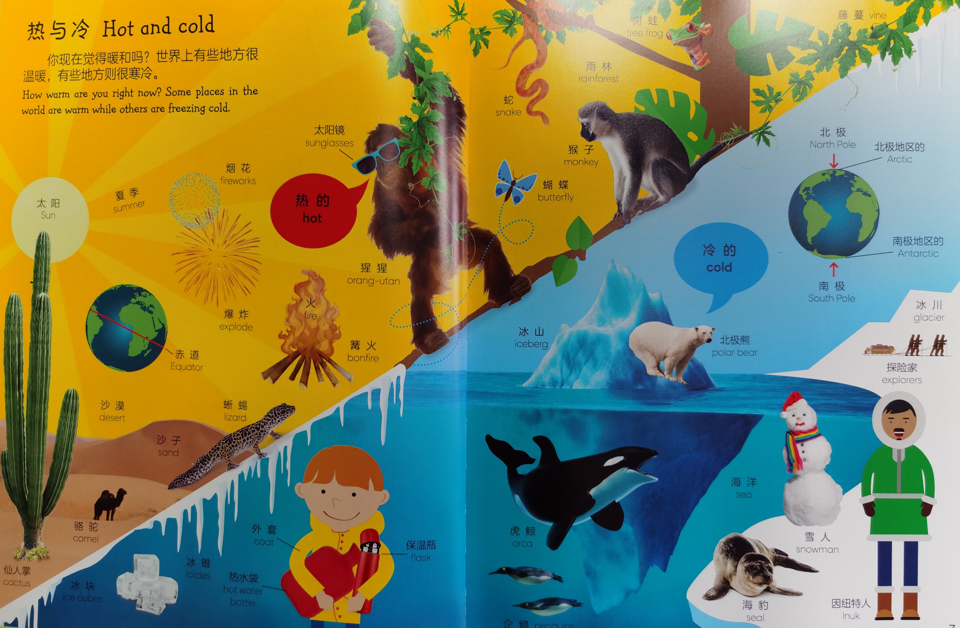 如何给孩子选英语启蒙书,如何教会孩子选择书