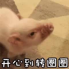 广东自考2022年1月成绩,2023自考成绩查询时间表格图片