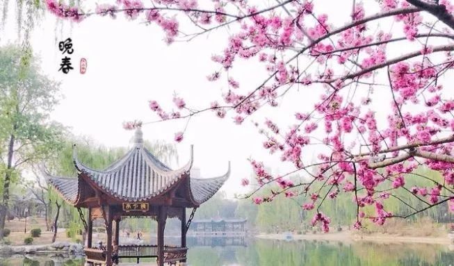 晚春十大绝美诗句,10首晚春诗词