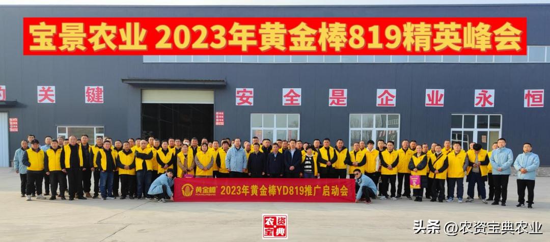 黄金棒819玉米种介绍,黄金棒YD819玉米种审定公告