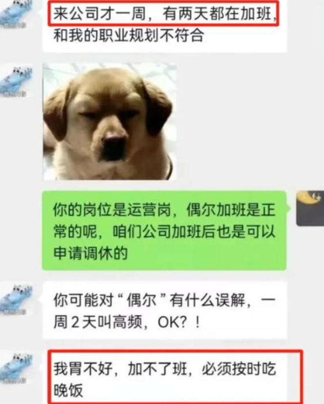 最硬核的辞职信500字,最近火了最硬核的辞职信