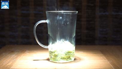 绿茶种类大全介绍,高档龙井绿茶有哪些种类