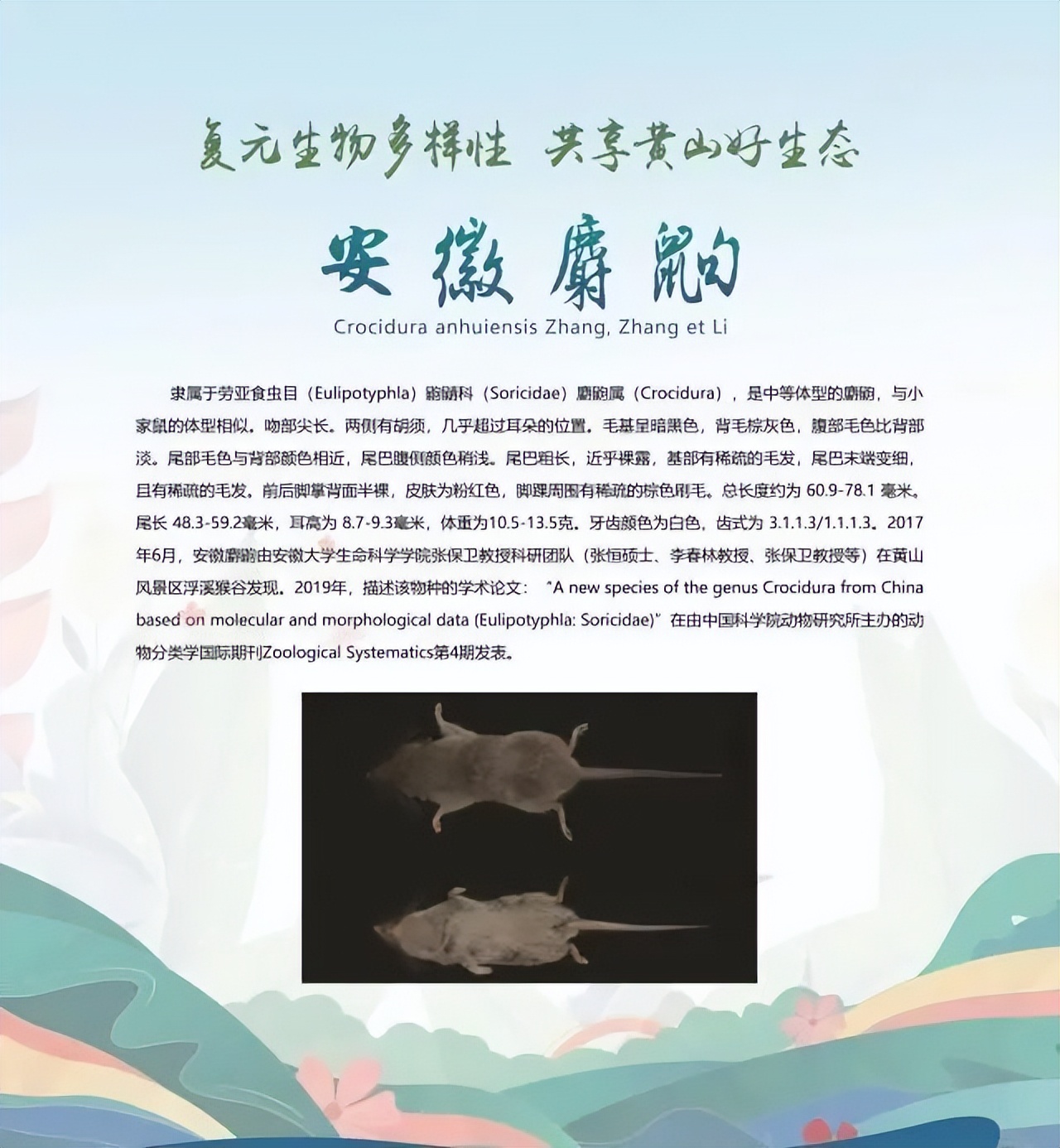 合肥二十种人气美食,合肥好吃的美食排行榜海鲜