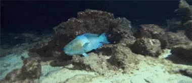 染了头发颜色不喜欢怎么办,染头发颜色不喜欢怎么办