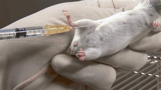 古代人啪啪啪后怎么知道中没中？