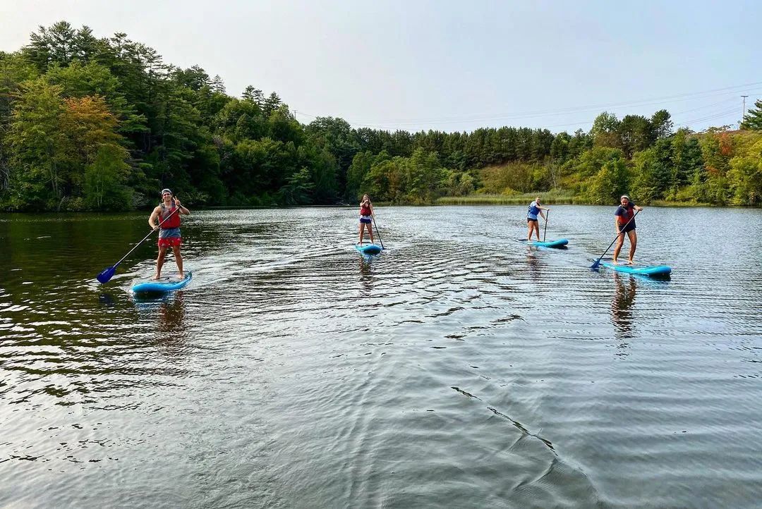 老牌八大藤校,排名前十藤校