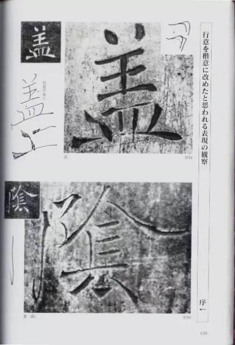 宸ョ瑪鐢绘潹鏅箟鐢诲唽,鏉滈箖鏉ㄦ櫘涔夊畬鏁寸増