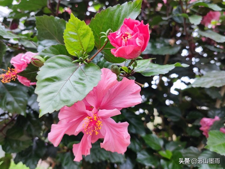 昆明世博园最值得看的有哪些景点,昆明世博园哪里看花最好看