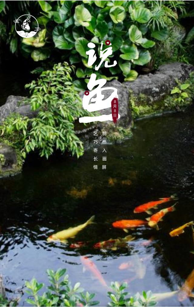 小缸什么观赏鱼最好养又存活率高,适合新手小缸养的小型温顺观赏鱼