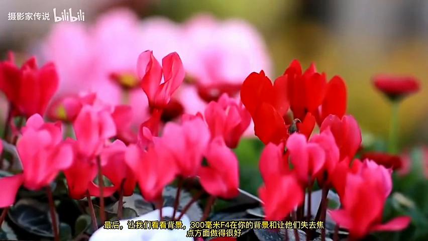 佳能ef100-300mm红圈,佳能ef75-300mm如何