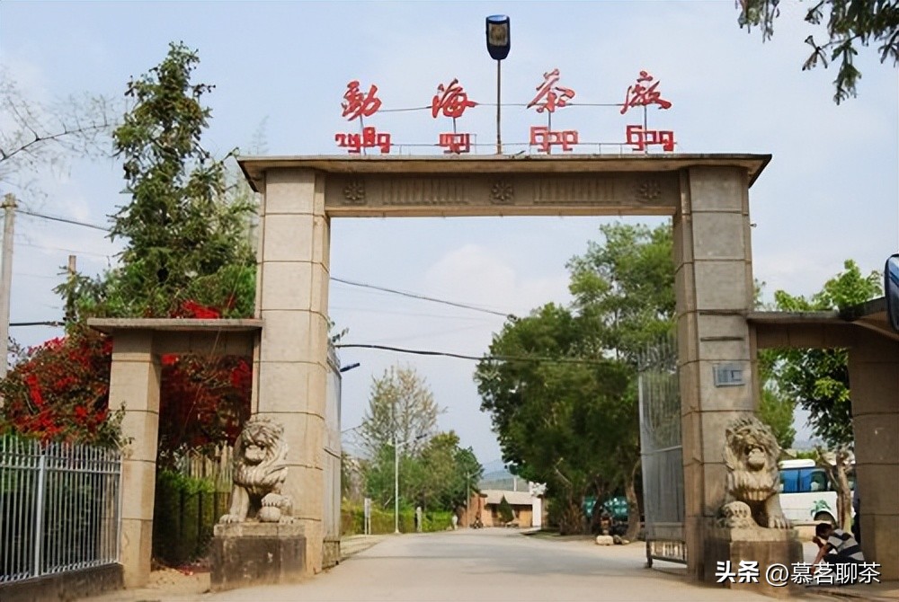 普洱茶神话破灭,普洱茶炒作的真相是什么