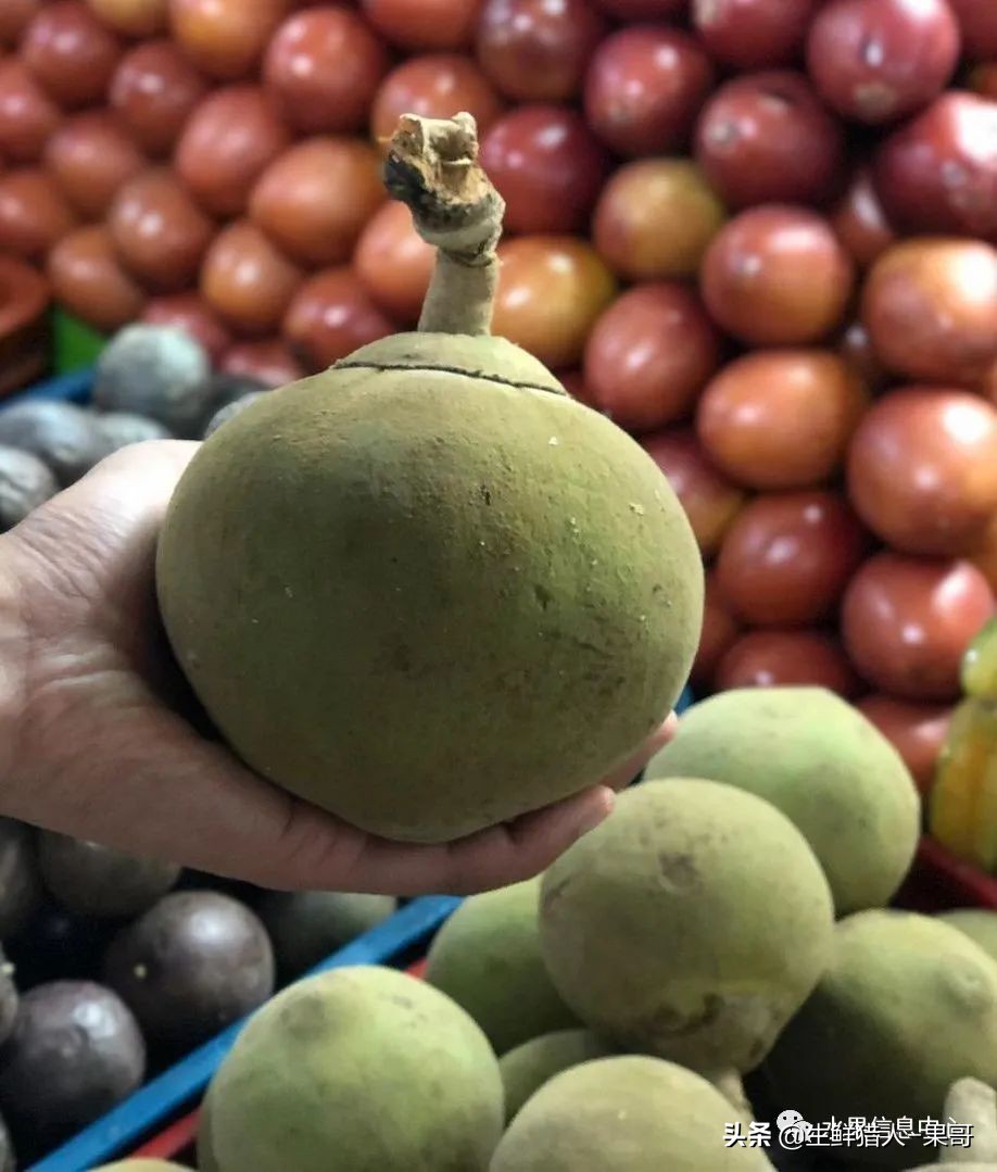 #奇异水果知多少#椰柿、黄晶果、冰淇淋果、巧克力布丁果等