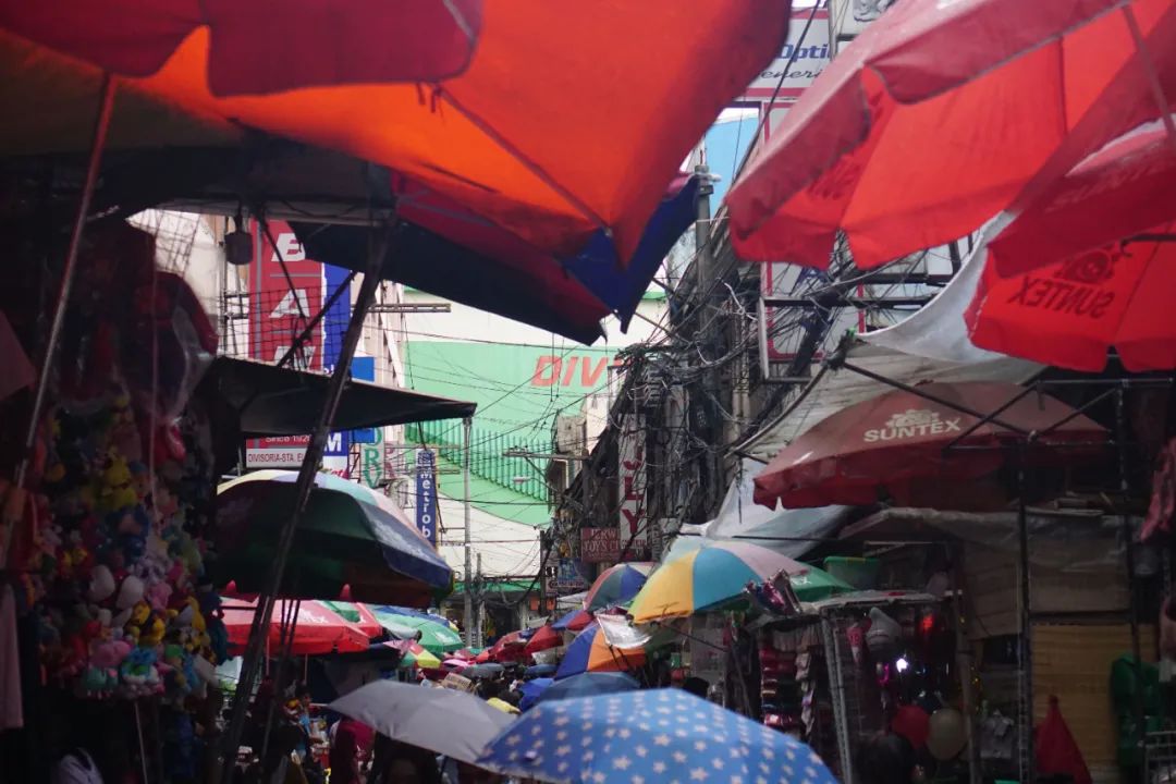 东南亚华人杀猪盘,东南亚杀猪盘真实案例