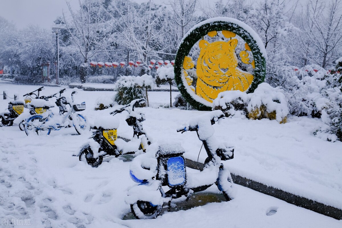 石墨烯磷酸铁锂和铅酸电池区别,电动车电池铅酸石墨哪个好