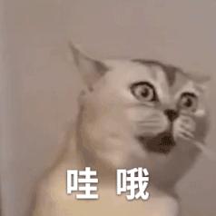 脑梗房颤心衰能活多久,心衰肾衰脑梗看哪个科室