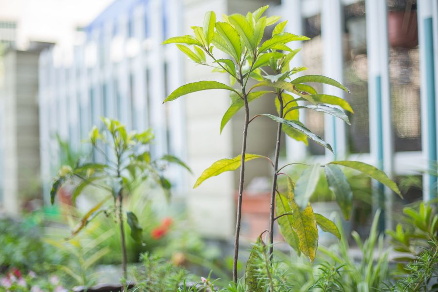 桐庐瑶琳仙境一揽芳华民宿,桐庐瑶琳仙境分水江边民宿