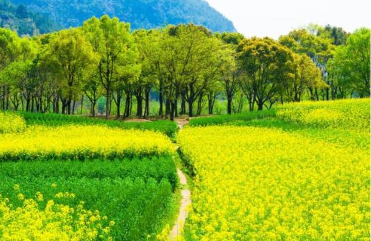 最具人间烟火的古诗词,人间烟火味满满的二十句诗词