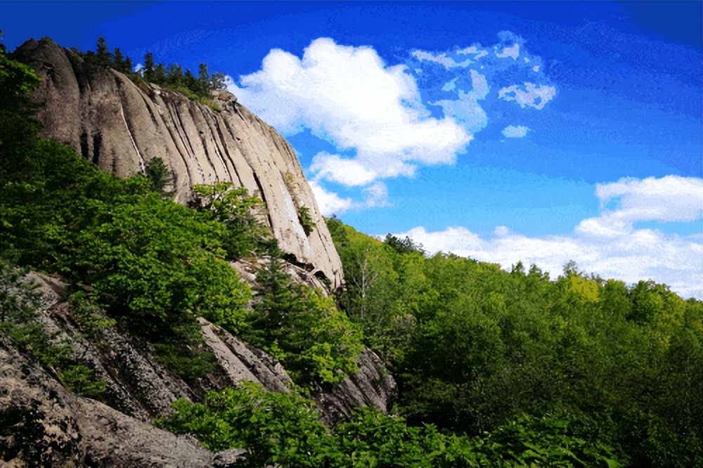 长白山的桦树茸,民国时期长白山采参人的生活