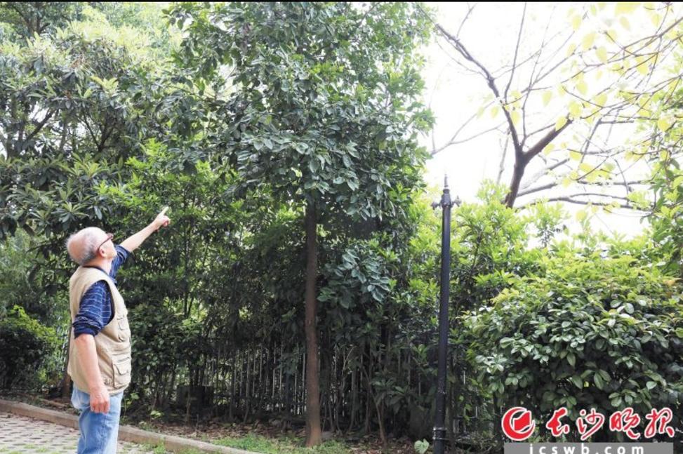 响应*少奇刘**号召创办的矿通工读学校，还有多少人记得？