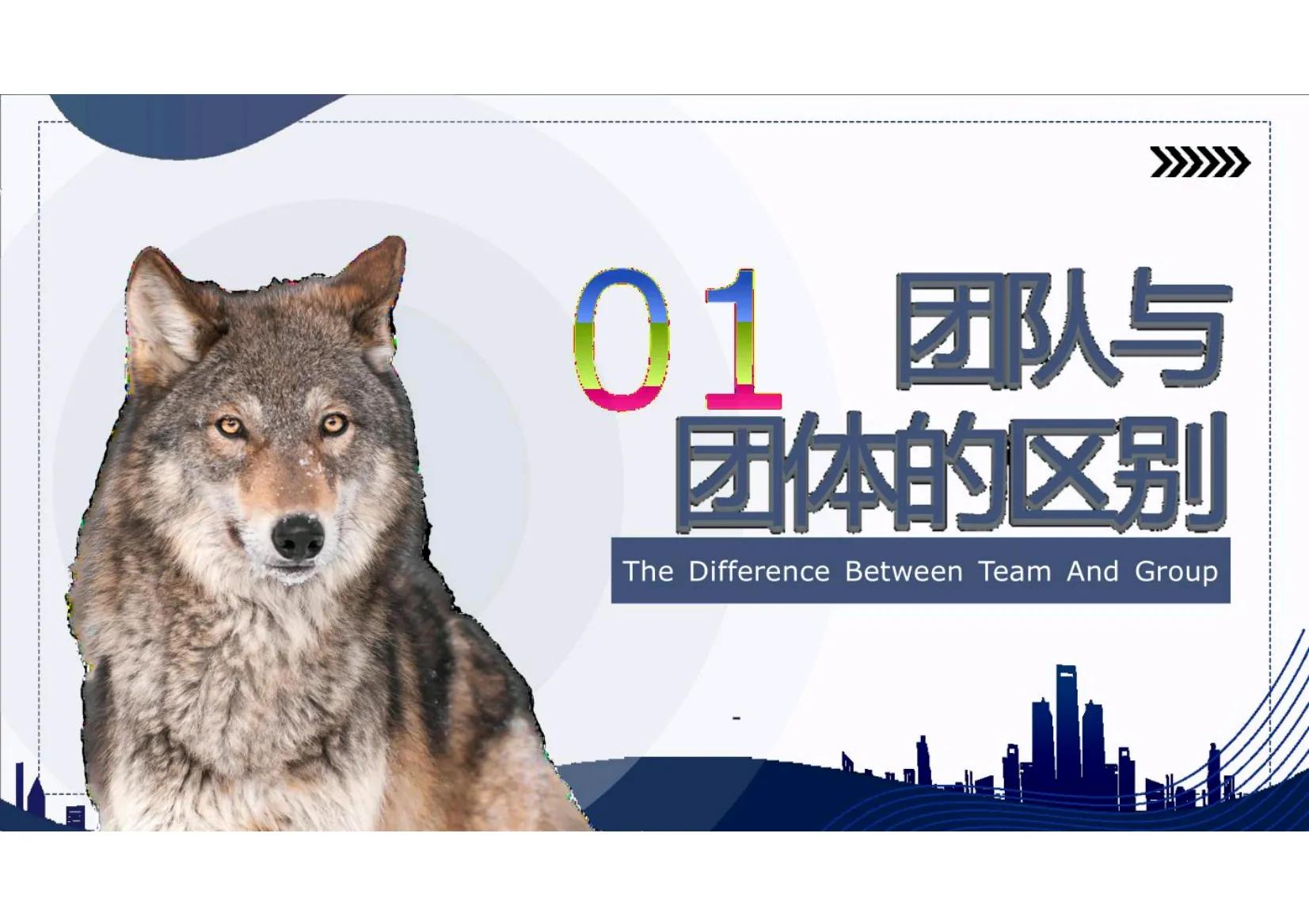 华为团队管理之道课程,华为狼性文化与团队精神