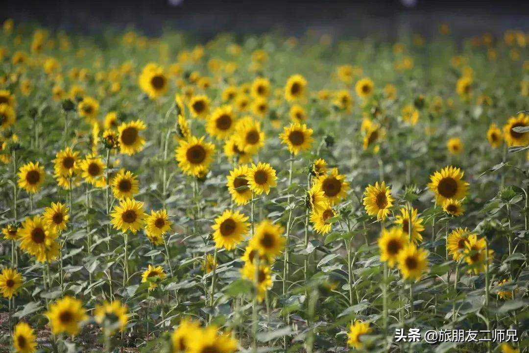 4天旅游广州周边景点攻略,人少景美的小众旅行地广东出发