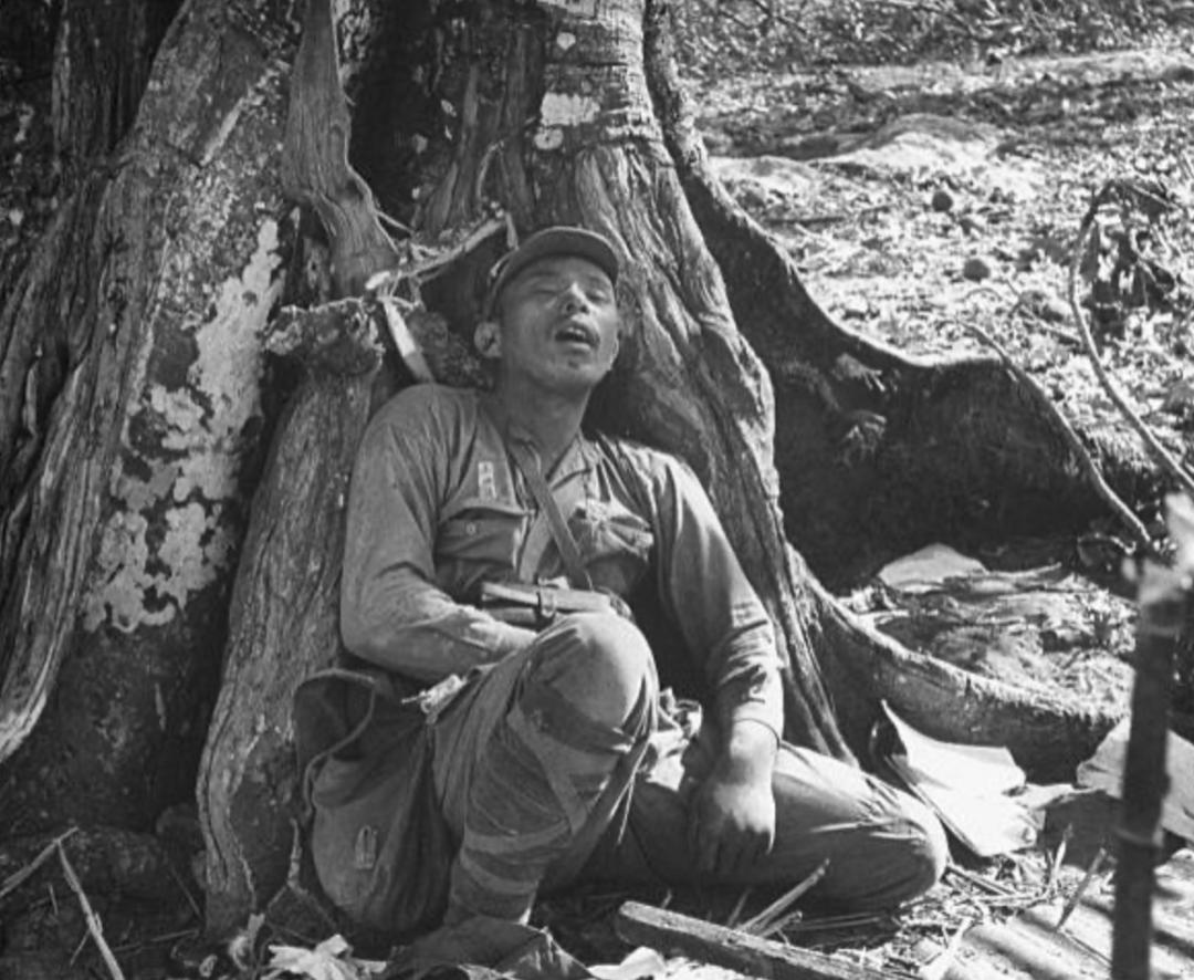 一组珍贵的照片满满的回忆,一组珍贵老照片看民国