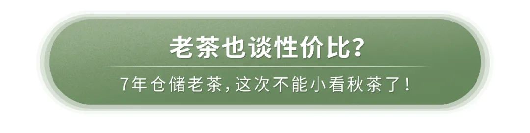 老茶开仓,老茶出仓