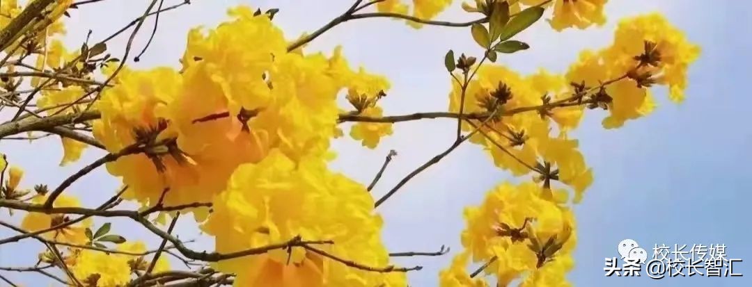 聚焦双减提质增效,双减形势下减负提质增效