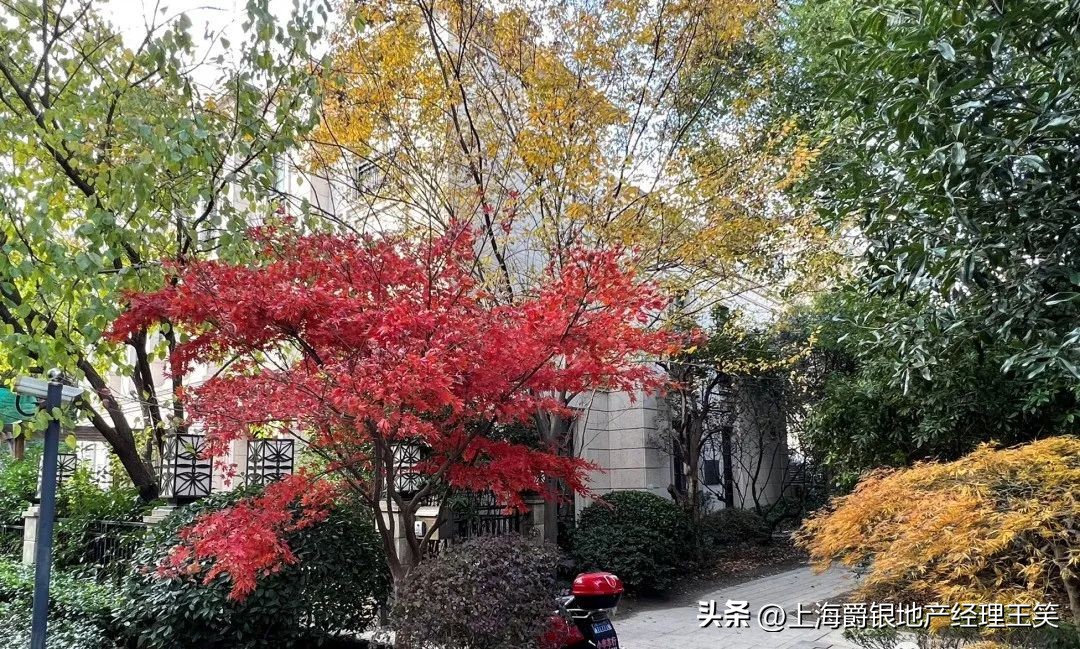 大华伊斐墅多少钱一平,大华伊斐墅小区平面图