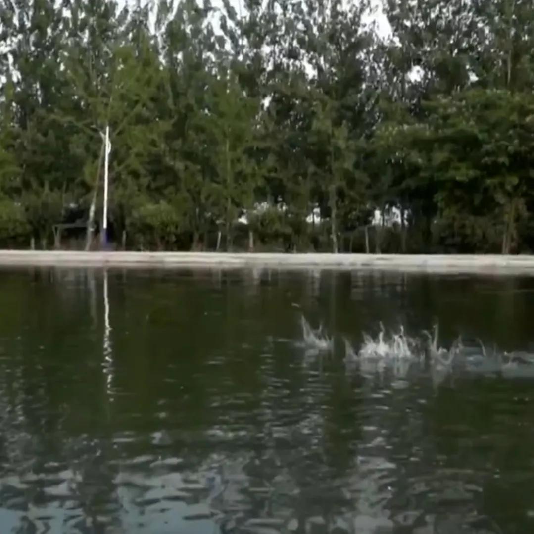 承包鱼塘也能年入百万,男子承包鱼塘后续