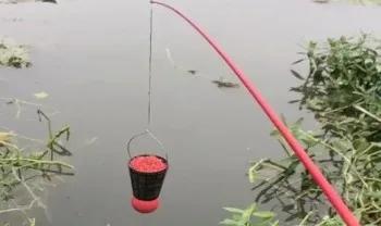 野钓同时钓鲤鱼和草鱼用什么钩好,野钓草鱼钓石头还是沙滩