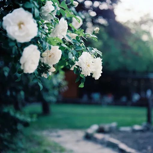 4年前的衣服,4年前买的衣服