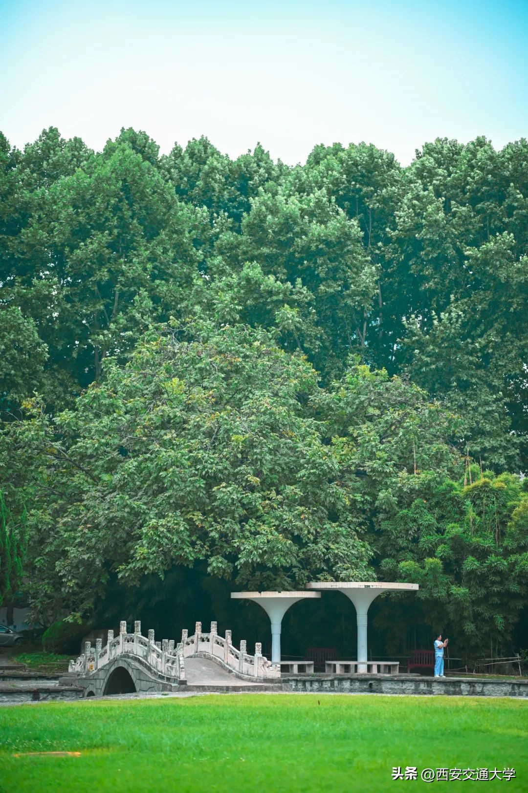 交大的校园，一眼心动！