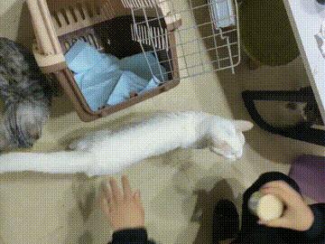 “好开心啊，我终于被人绑架了”