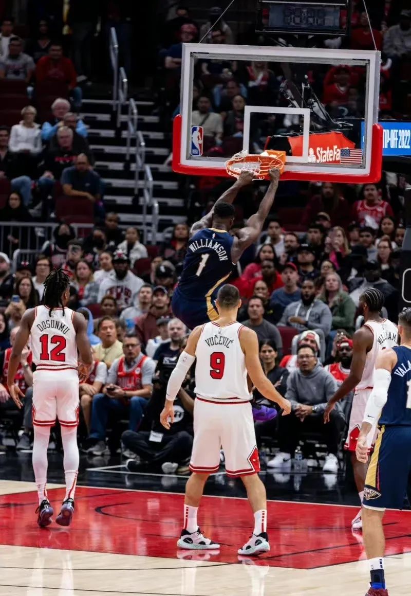 玻璃属性已确定！才四场比赛胖虎又倒下了